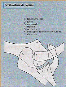 Médecine de ville et accidents liés au sport 5